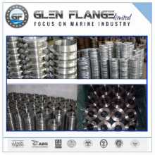 Titanium Ring Joint Flange, Titanium Gr7, Gr9, Gr12 Pipe Flange